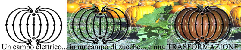 trasformazione della zucca