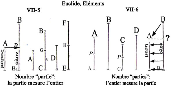 Euclide VII,6 