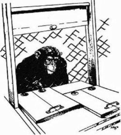 Fig.11 11