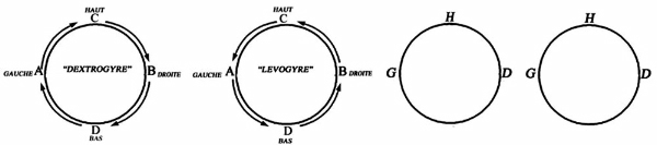 Le fait génétique...Fig54 FIG