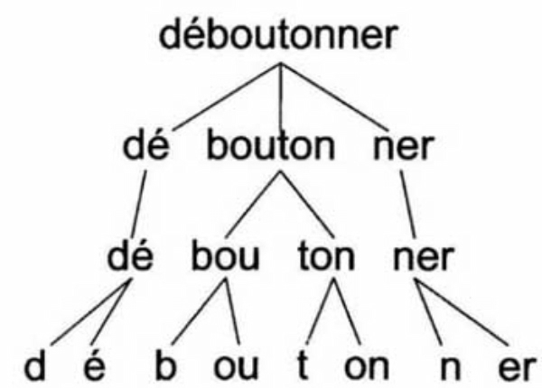 Le fait génétique... FIG