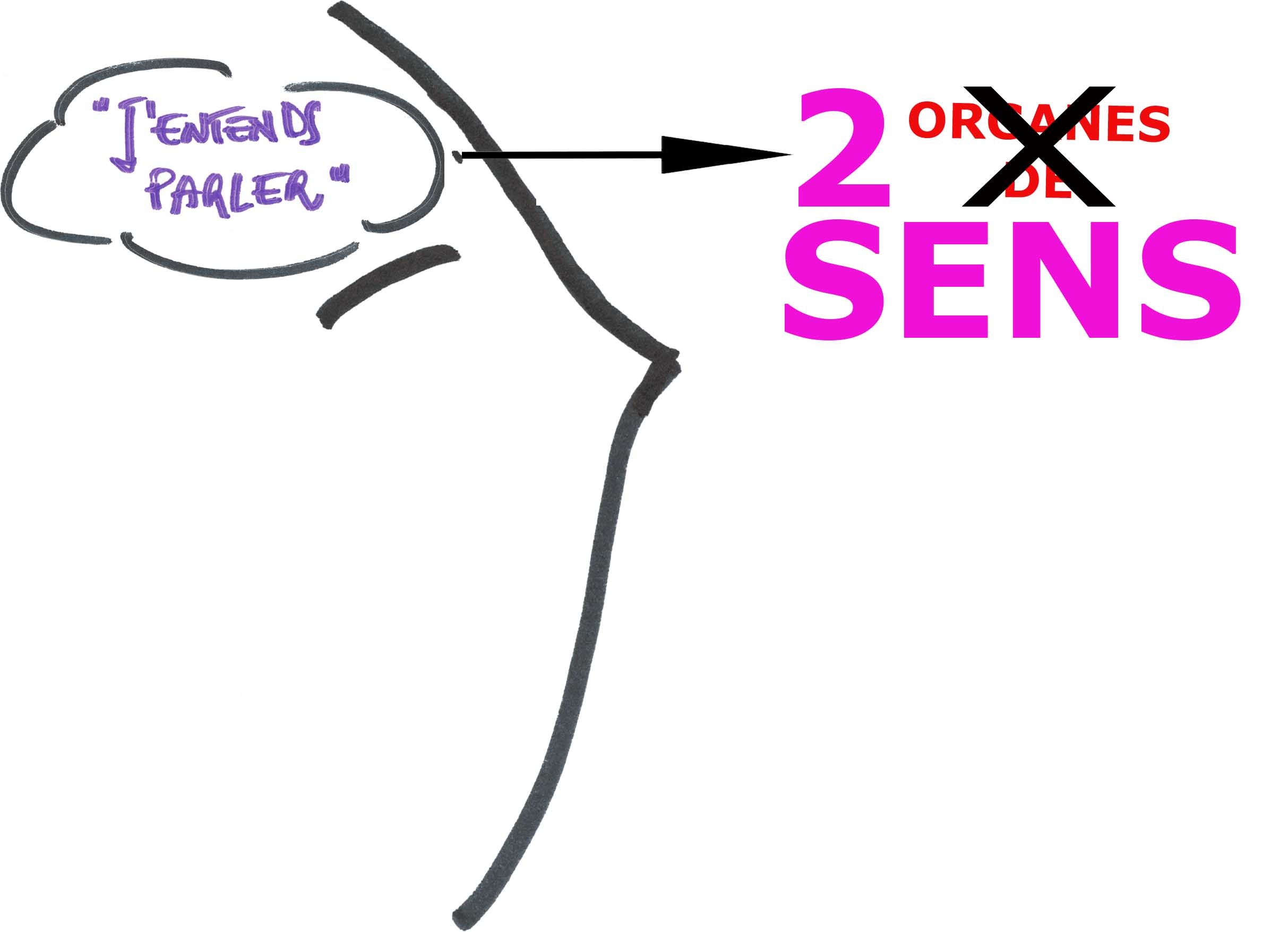 Dans notre esprit/cerveaux il n'y a pas deux ORGANES de sens pour 'entendre', mais bien deux SENS d' 'entendre'